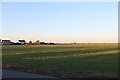 Field by Wisbech Road, Lakes End in PE14 9SG