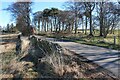 Country road to Meikle Rhynie in IV20 1TP