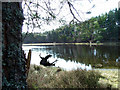 Cormech loch in AB31 6LQ