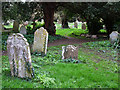 Churchyard of St. Thomas a Becket, Pagham in PO21 4NP