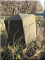 Old Boundary Marker by the A179, Hart Road, Throston Grange in TS24 9RX
