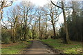 Path in Hainault Forest in RM4 1NB
