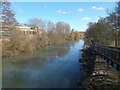 River Lea from a footbridge in SG12 0GX
