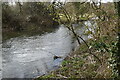 River Nadder roadside, west of Bemerton in SP2 9AR