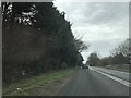 Signage - A35 southbound in BH23 4UR