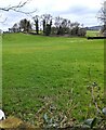 Grassy field and distant trees, Howick, Monmouthshire in NP16 6BL