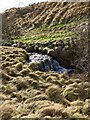 Modest waterfall on the Mill Burn in NE19 1BT