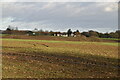 Farmland, Theydon Garnon in CM16 7NS