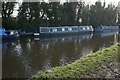 Canal Boat Robins Nest, Bridgewater Canal in WA4 2SF