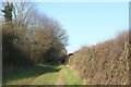Bridleway to Theydon Mount in CM16 7QQ
