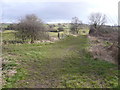Footpath View near Carr Vale in S44 6JJ