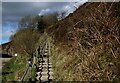 Flight of Steps beside the Wayoh Reservoir Embankment in BL7 0LJ