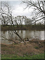 River Severn SW of Ashleworth Quay in GL19 4HX