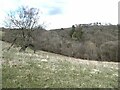 Looking down into the woods at Hareshaw Linn in NE48 2DT