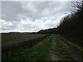 Track alongside North Spring Wood in LN10 5EB