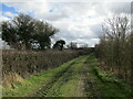 Farm track near Lowfield Farm in LN3 5TP