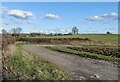 Track and farmland near Tur Langton in Kibworths Ward