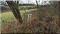 Trig point on Dionscourt Hill in SY8 4JL