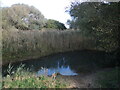 Smaller pond on Berrow dunes in TA8 2QS