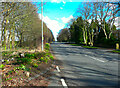 Alwoodley Lane from the start of a footpath, Alwoodley in LS17 7EA