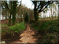 Bridleway off the A61 Harrogate Road, Wigton in LS17 9JB