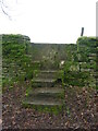 Stone stile field to wood, Miserden Estate GS1052 in GL7 7LA
