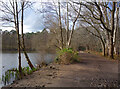 Path beside Heath Pond in RG11 3QL