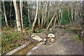 The Stream out of Heath Pond in RG11 3QL