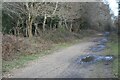 Track on disused railway route towards Blackhamsley Hill in SO42 7UP