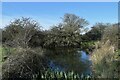 Pond on Ashingdon Public Footpath No. 10 in SS5 5LE