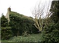 Ivy covered house, Oak House Lane in PE22 0PJ
