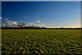 Marsh Common : Grassy Field in BS35 4JU