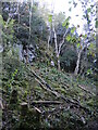 A clearing in the combe in BS40 5PR