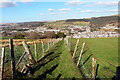 Llwybr i lawr i Dredegar / Path down to Tredegar in NP22 4JL