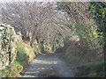 Country lane in Pontardawe Community