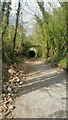 Wye Valley Greenway Tunnel - south portal in NP16 7JF