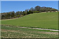Steep field near Chine Farm in SP4 6NX