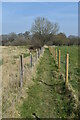 Footpath between fields near Caldicott's Wood in BN27 4AX