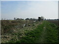 Footpath alongside the Cowbridge Drain in PE21 9QX