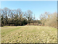 Mill Pond Field, Bedelands Farm local nature reserve in RH15 0ZJ