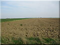 Flat fields north of Sibsey in PE22 0TW