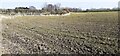 Ploughed field at Brampton Farm in DL7 0PN