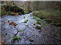 Stream at Trenant in PL14 6RZ