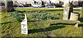 Milepost, litter bin, bench and crocus on the village green in DL7 9QE