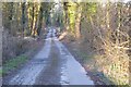 Country road through woodland in HR6 9UQ