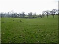 Monmouthshire pasture land in NP25 4DT