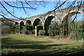 Railway viaduct near Coombe in PL26 7LP