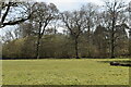 Pasture and woodland in BN8 4QJ