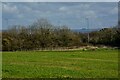 Almondsbury : Grassy Field in BS32 4FJ