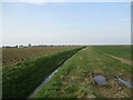 Drain north of Pymoor Lane in PE22 0TP